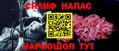 PSILOCYBIN Севастополь
