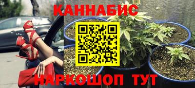 a pvp Свободный