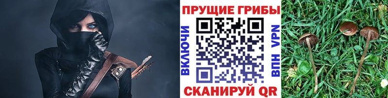 Псилоцибиновые грибы Psilocybe  купить наркотики сайты  KRAKEN рабочий сайт  Серпухов 