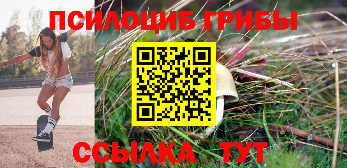 Галлюциногенные грибы MAGIC MUSHROOMS Серпухов